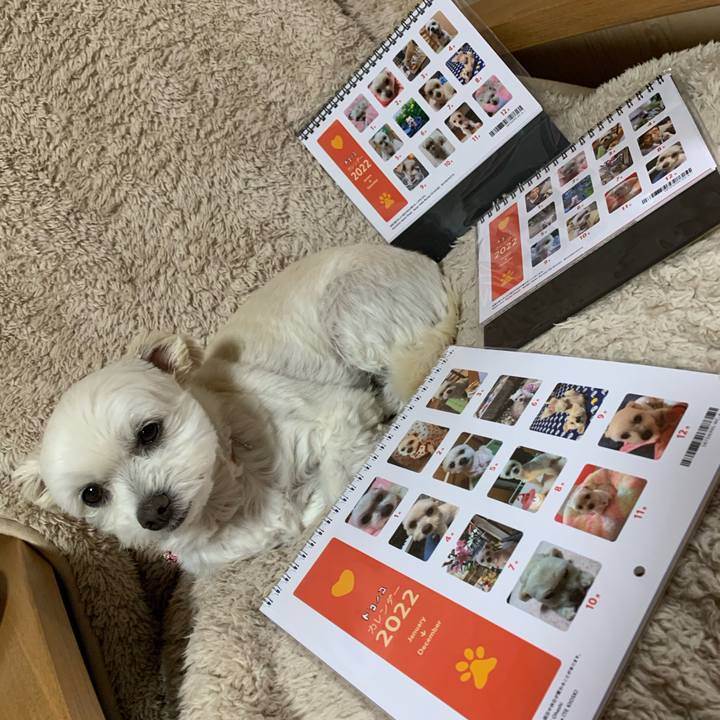 2ff46d0d 1467 4ef4 92d1 a3ff732b5835 1637321403135