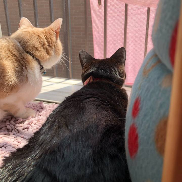 2ff47581 1324 4908 bc45 547253bf2123 1625968083060