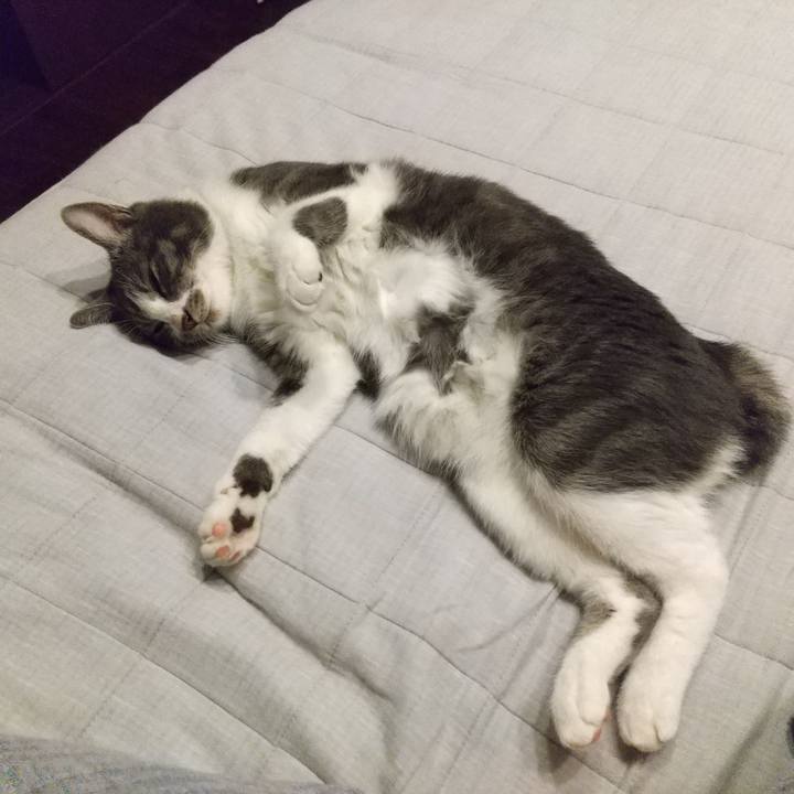 2ff4767d aad6 422b 8b18 f5eb8ec29769 1601981546650