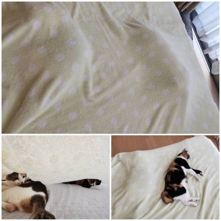 2ff55bd8 6b77 4b26 9fc3 227d0cc0e668 1659497559866