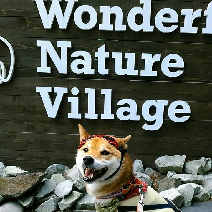 2ff57f8e b043 4938 ae32 fd1bac958e26 1527908203817