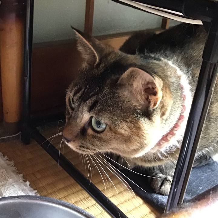 2ff58d0a ba3e 424a ae46 c751d9a9a74a 1653270364434