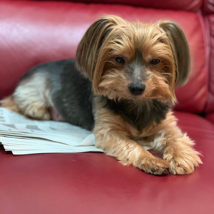 2ff5998b e054 4773 98f4 393bccc30a3f 1598476334594