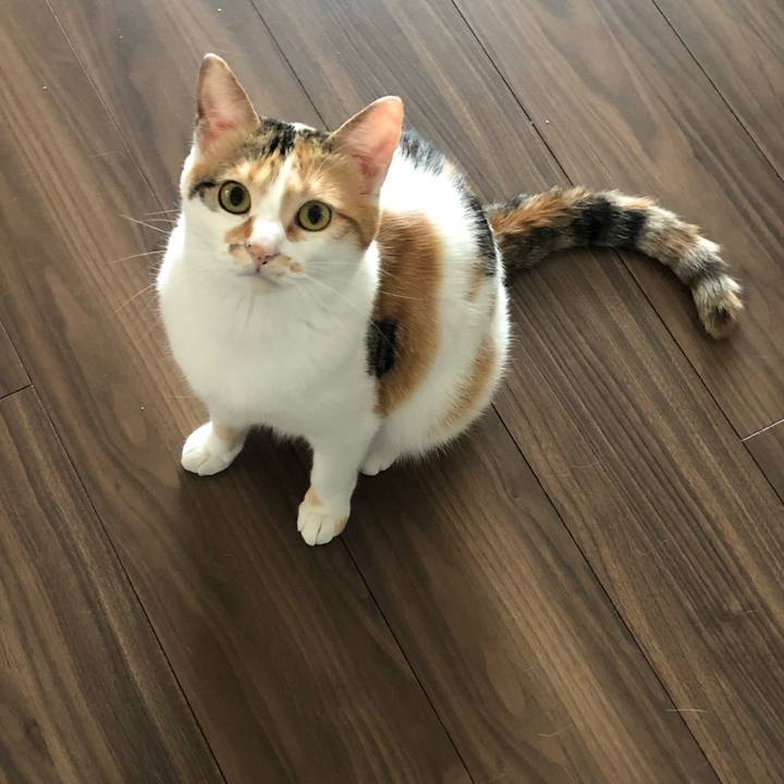 2ff5a0dc 055d 4767 a9d3 e76e3ec9e6e0 1591932425935