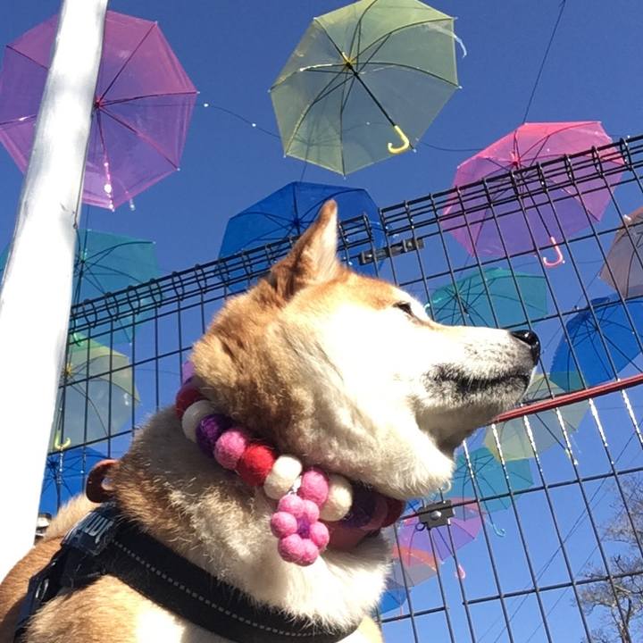 2ff5d79c 9480 4bf6 b110 9899107d978b 1638737988079