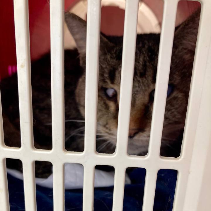 2ff60325 22bf 4323 be52 36e0a2e83304 1679968989743