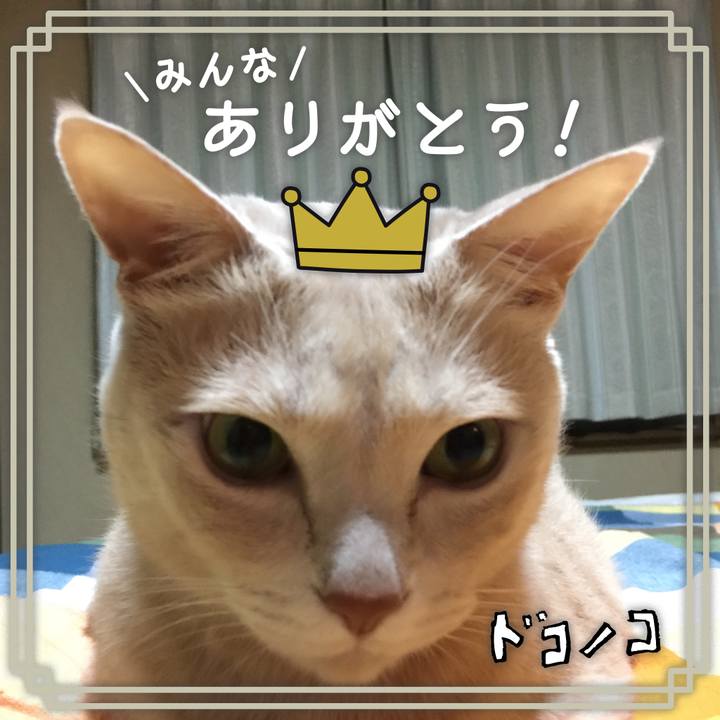 2ff609d5 290e 43cc 9ec2 b7f1a0e06aa6 1622895896672