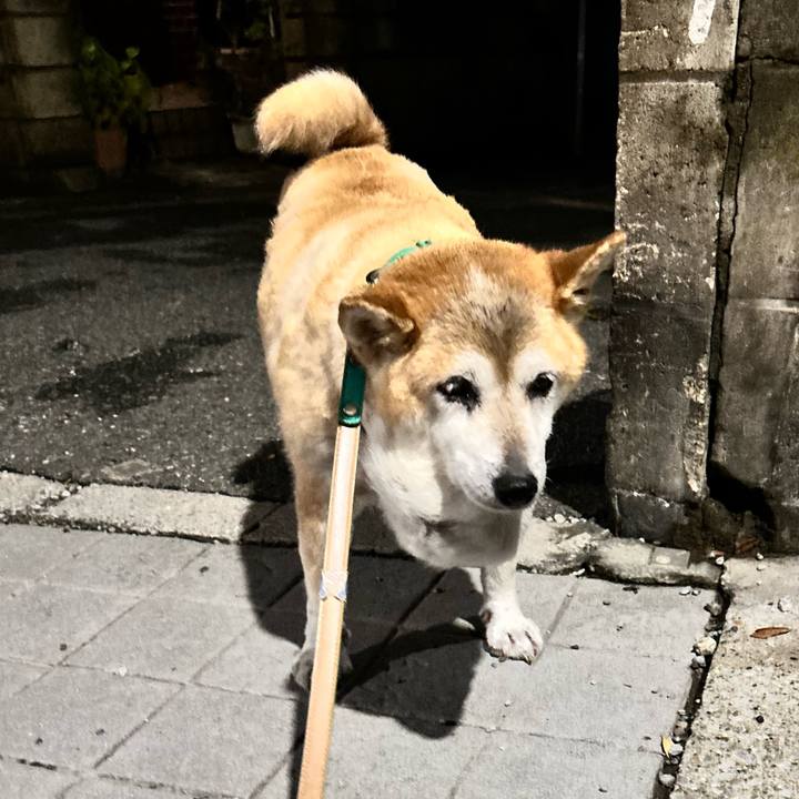 2ff67c64 1238 4c5e b86d 7b90c0f34c3d 1757073056172