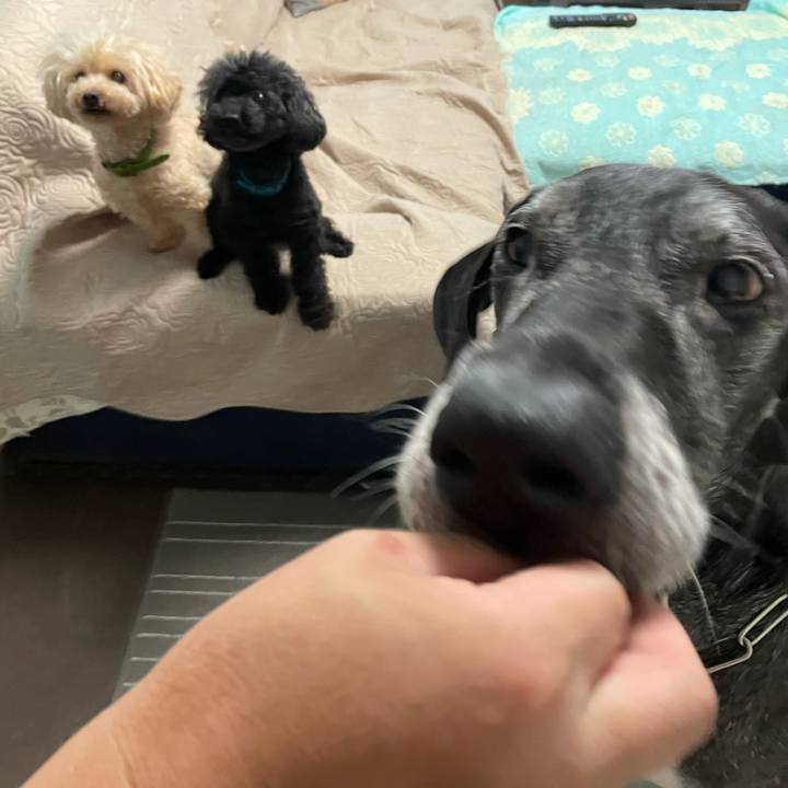 2ff67cec 6689 46e0 a7aa ceab4f46a8fe 1622586309600