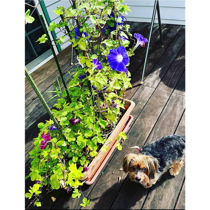 2ff68014 731a 496a a721 6df4aede2284 1662678696033