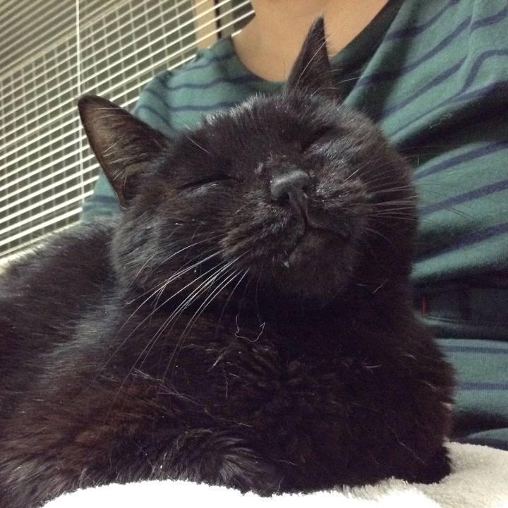 2ff6f712 063d 4ae8 b067 acab28170a57 1561176894603