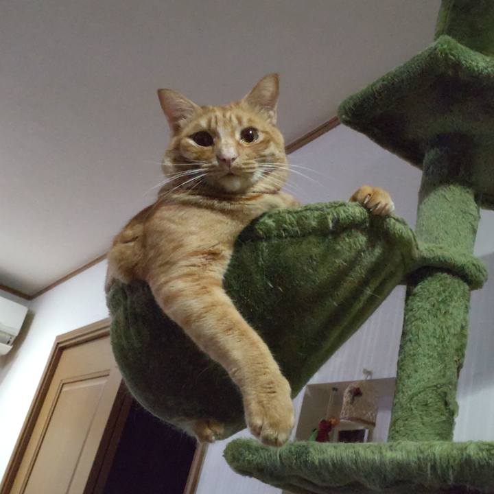 2ff71b5a e0de 4770 9053 b86f727613aa 1723372021068