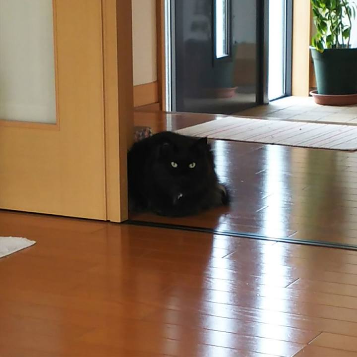 2ff71f22 adf1 45b0 a7f6 42e68d9c83f8 1525217886549