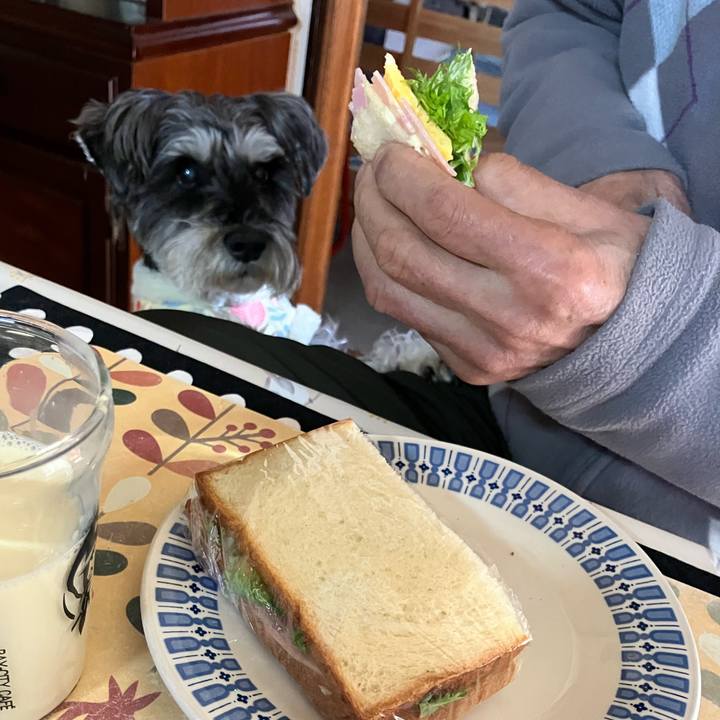 2ff72bfd 016e 4a51 86c8 dddde75ae2d8 1774053491818