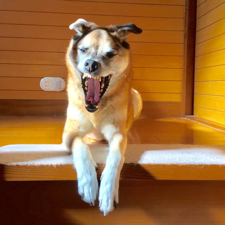 2ff781ce 434d 44f5 8105 a586e78f23f0 1578745358915