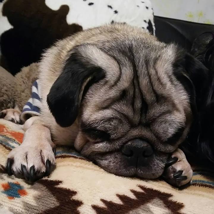 2ff7847f f8fe 470a add5 2433e201c59e 1539306978448