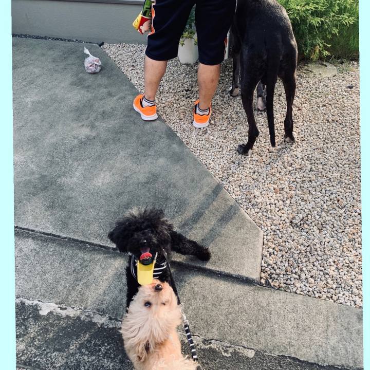 2ff7c9a3 2d6a 4a2a 9413 2716888a88e7 1597014157315