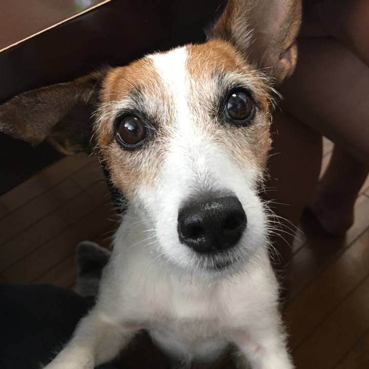 2ff7d45c ca55 46fa 816a 769be0f16274 1593216983098