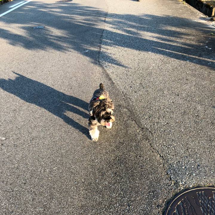 2ff7ff67 33aa 476c 8f5f 6e0ec742b090 1531603229089