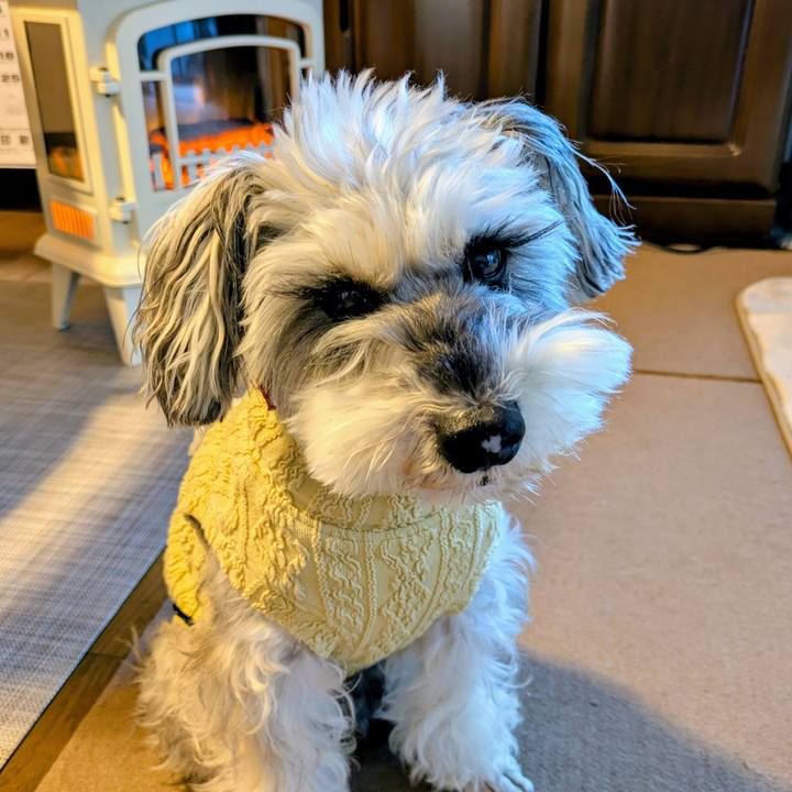 2ff84547 84d1 4a50 8bf8 51065a9371b5 1764813758011