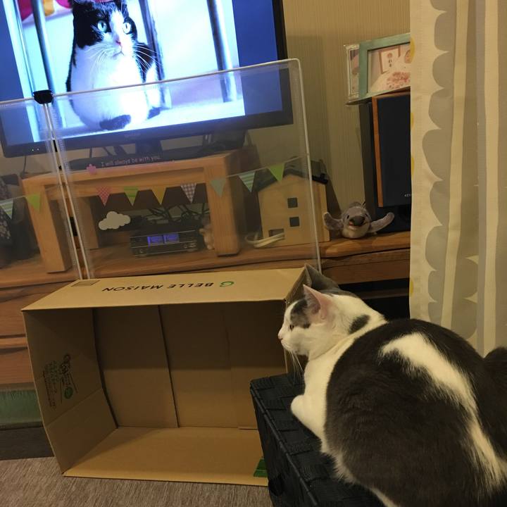 2ff86aae d57d 4029 b131 46390d11b276 1531607365992