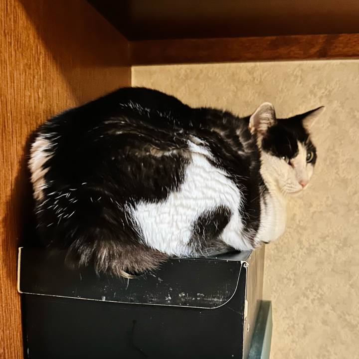 2ff88e48 19f2 43f6 8cf9 5aed5e643ca0 1717985537256