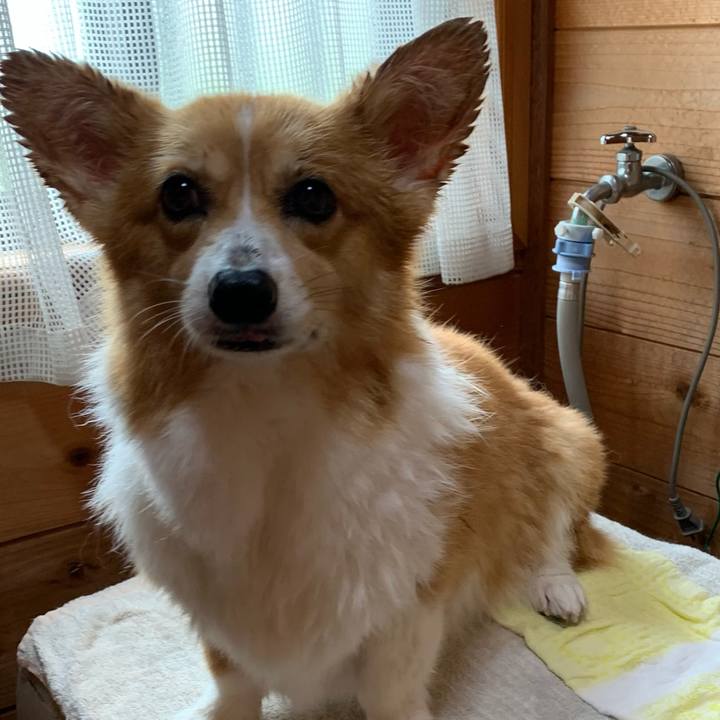 2ff8911f 1a36 419c 8a1a 23eab7dbb1f6 1630220425109