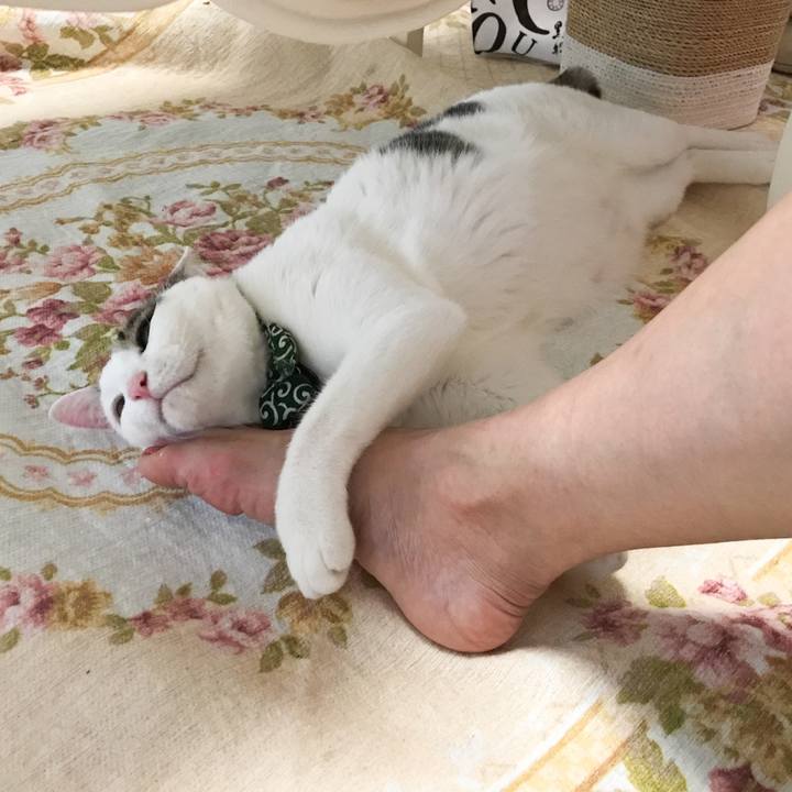 2ff89f3a 1138 4a45 8322 51cea86622e0 1529983916771