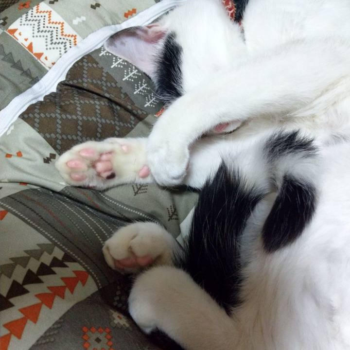 2ff8c2f7 0c0d 4bfb 990f aa5258379789 1518186241380