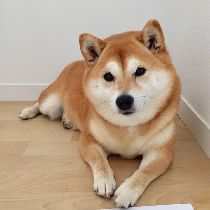 2ff8cf44 9a31 4c2c 9c63 1b4874764f59 1556688008385