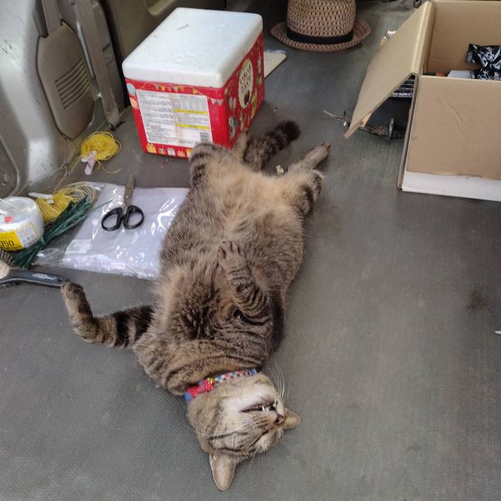 2ff90a15 81ce 42be aba3 27266746dc35 1690713337385