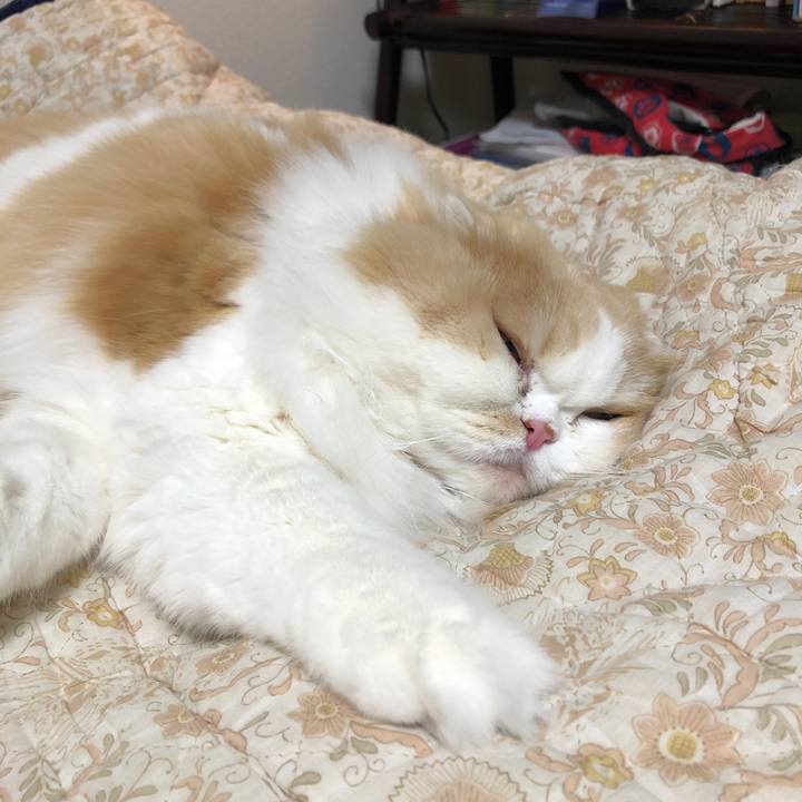 2ff943e7 697e 44f3 a350 9e57f992194a 1641379974723