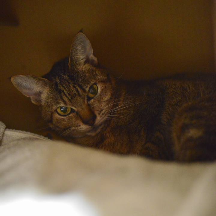 2ff960d2 41f5 465e 9701 deef32f9ab0b 1544951593450