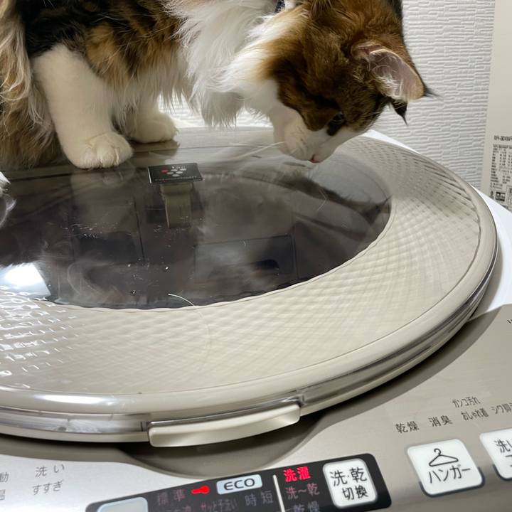 2ff96b60 eaa2 4dc5 8da8 c843970a1237 1645914096033