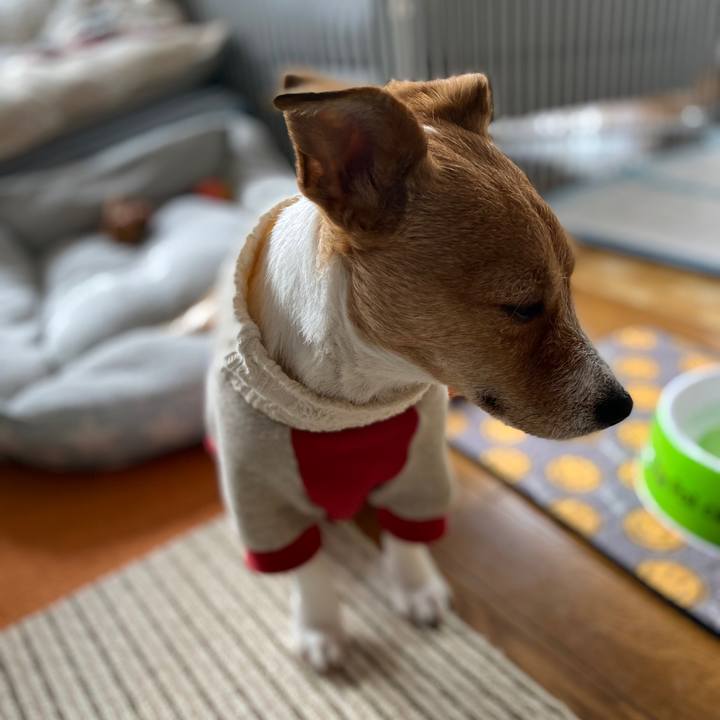 2ff97b78 42a6 4ee1 98fb 3b9d33e8cbb8 1578188280688