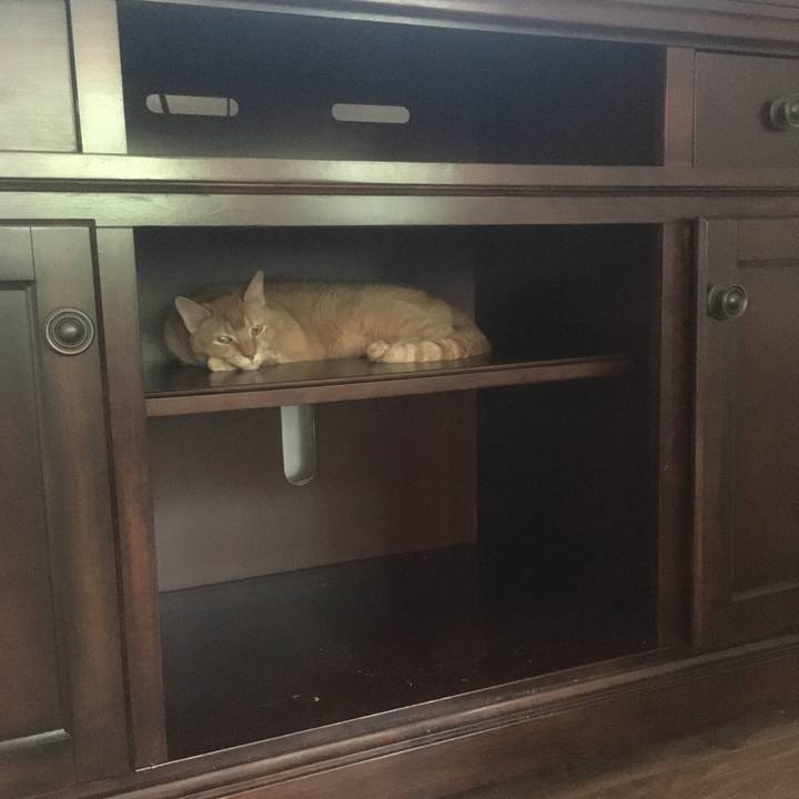 2ff9acde ebc9 46e4 9a9e c20c9132d0ea 1655257296267