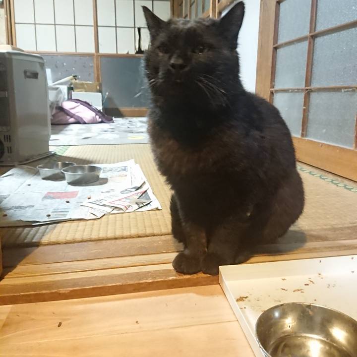 2ff9faa1 5bdc 4a99 9a7d 6fb53fd084de 1619436406918