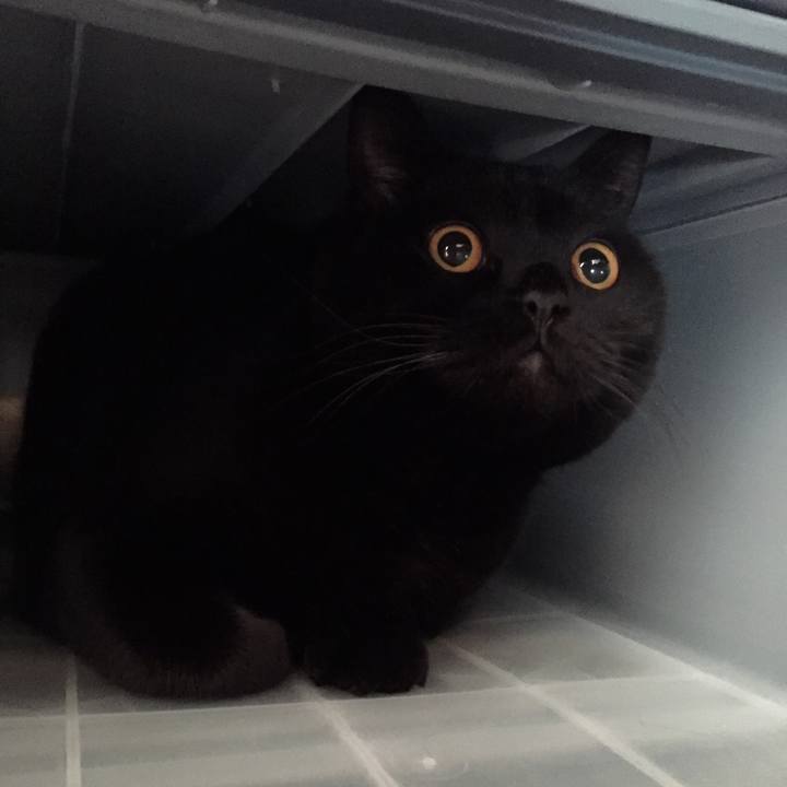 2ffa1380 100e 42f2 8988 0e2265d98b4f 1578920833083