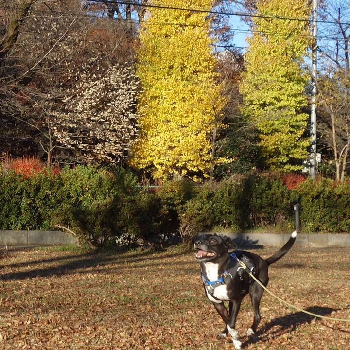 2ffa13fe 36ac 4def 884a 5e76fa0b0428 1638060584619