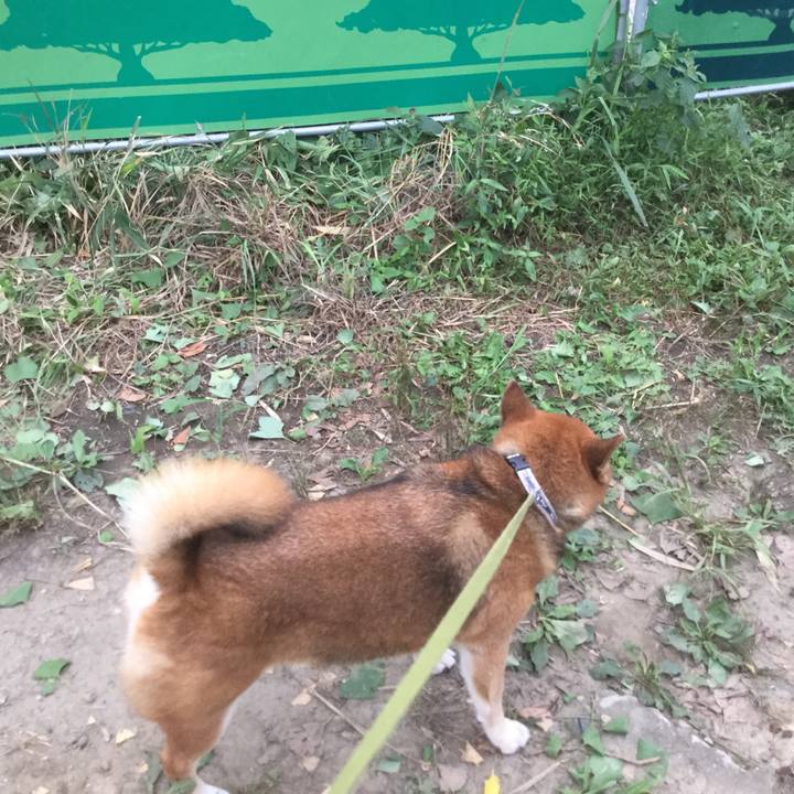 2ffa3404 603b 44a1 b056 2f9dd6a4d57a 1567500256349