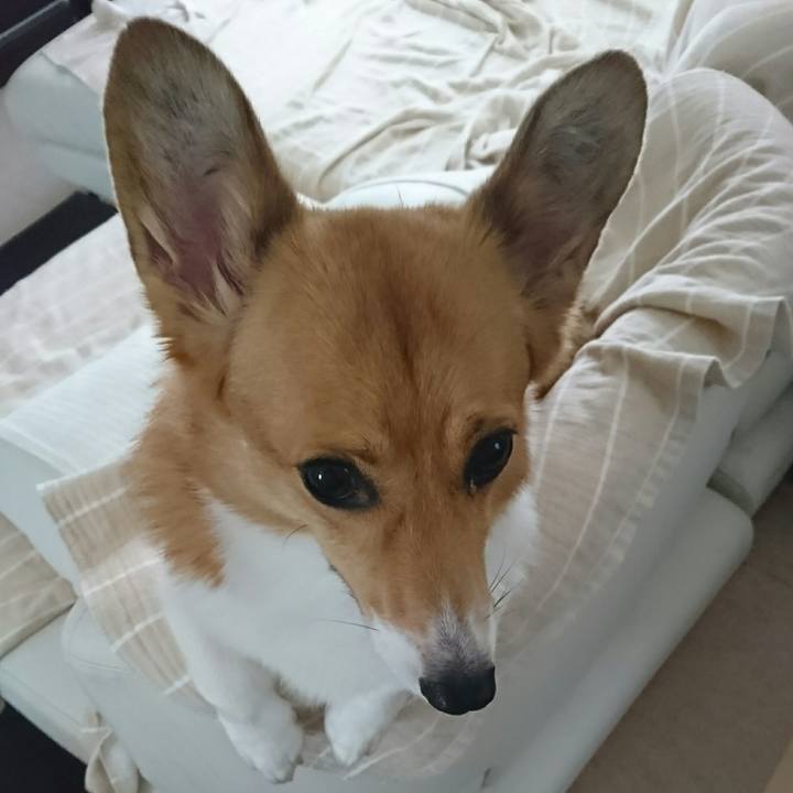 2ffa4c9b 4ac3 40d6 a1ac 9f944abc21be 1538360109241