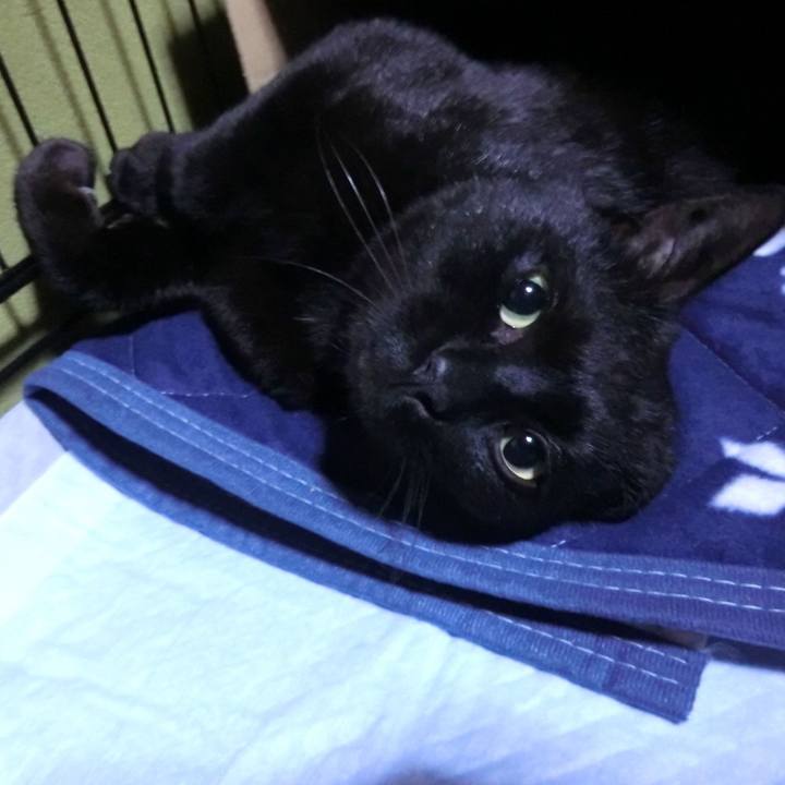 2ffa6533 dec2 4823 9ea2 1fbc0727bef9 1557240711381