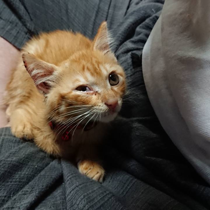 2ffa83d3 eb6c 483d b11e 6dede5d25edf 1628420268957