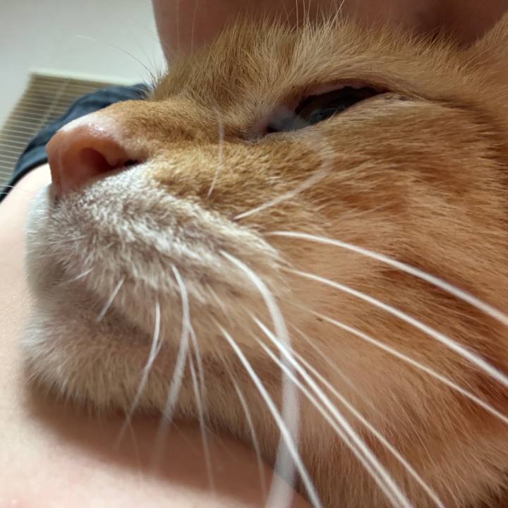 2ffaa102 994b 4162 bdb8 b6423bb22ecb 1761048451144