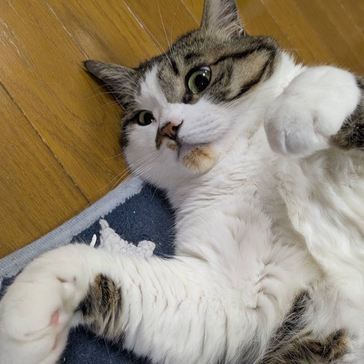 2ffab222 8835 49e9 a46e 249db794f06a 1773351115582