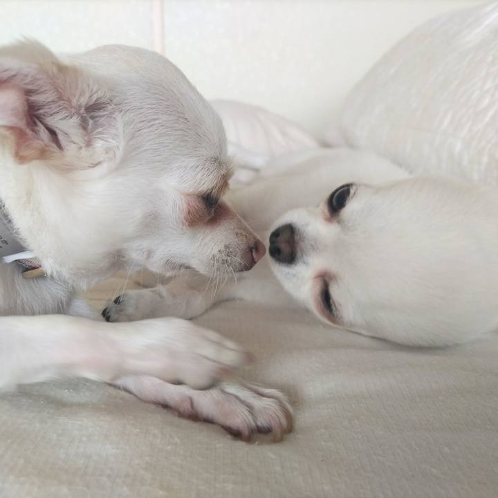 2ffb08cd e5dc 4b8e be99 587f8d605f52 1752453695091