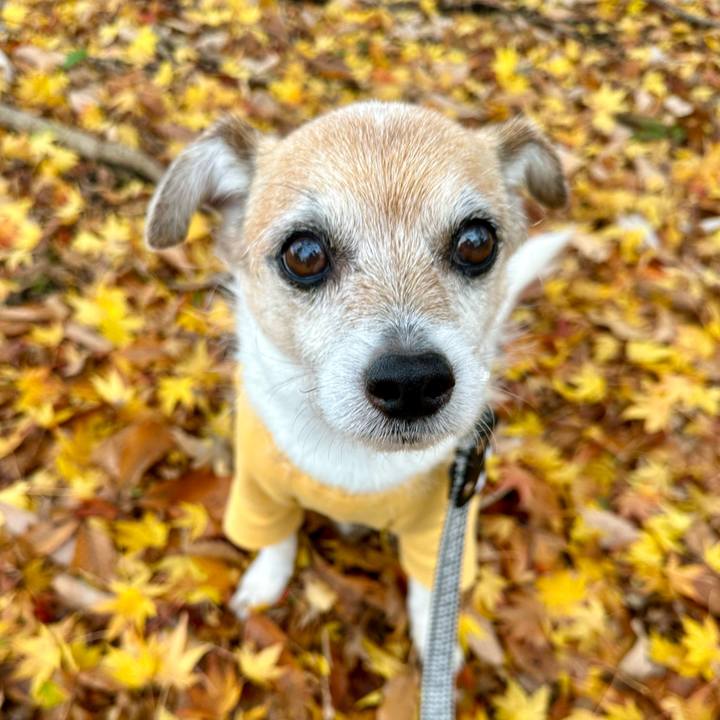 2ffb1ca3 cc54 4a90 ba3c 49ede4ad1235 1669790110430