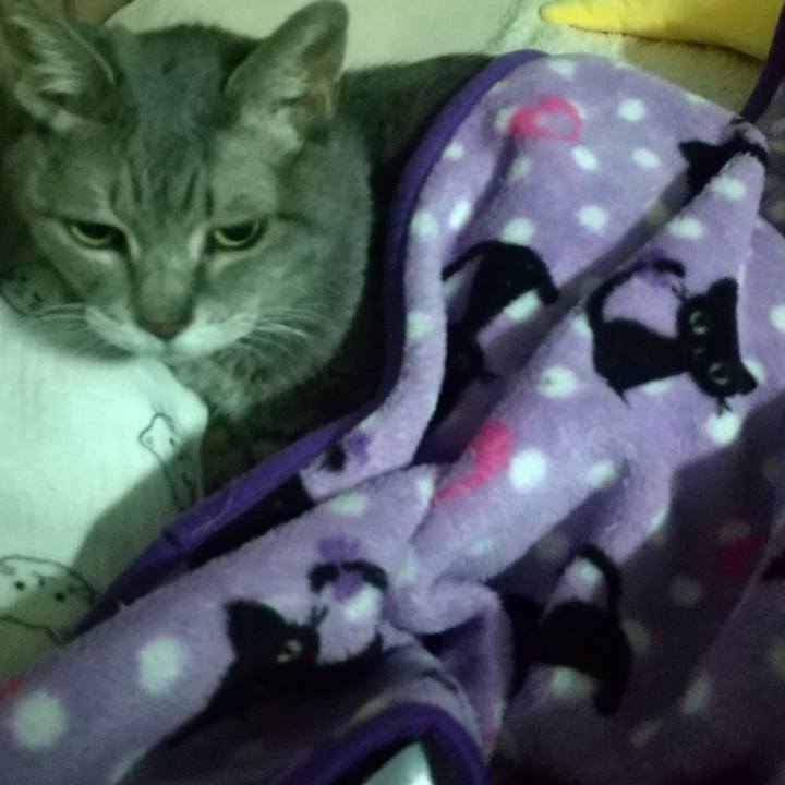 2ffb2434 156b 4f63 9ab6 8a47fdd0e635 1699610840308