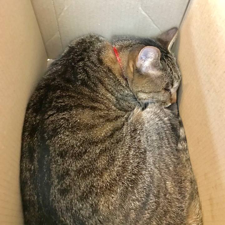 2ffb5132 691d 4723 97d2 6569bcaf4181 1559029114444