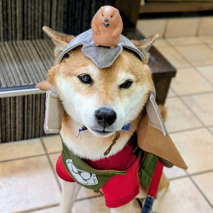 2ffb94b8 bbcb 4d31 999b 246555d97308 1766121004670